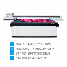 深圳鼎力数码科技有限公司-2513uv平板打印机